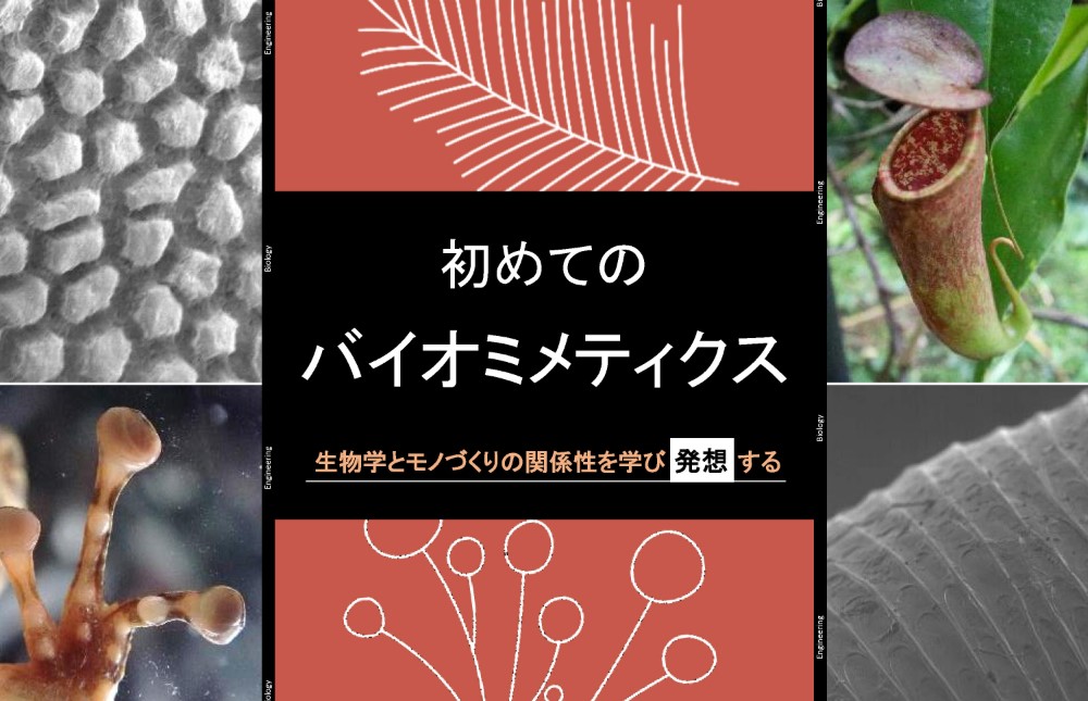 【終了】9月3-5日　京都大学サマーデザインスクール2024でバイオミメティクスのワークを実施します