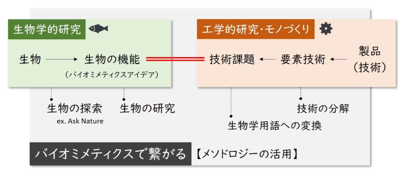 バイオミメティクス